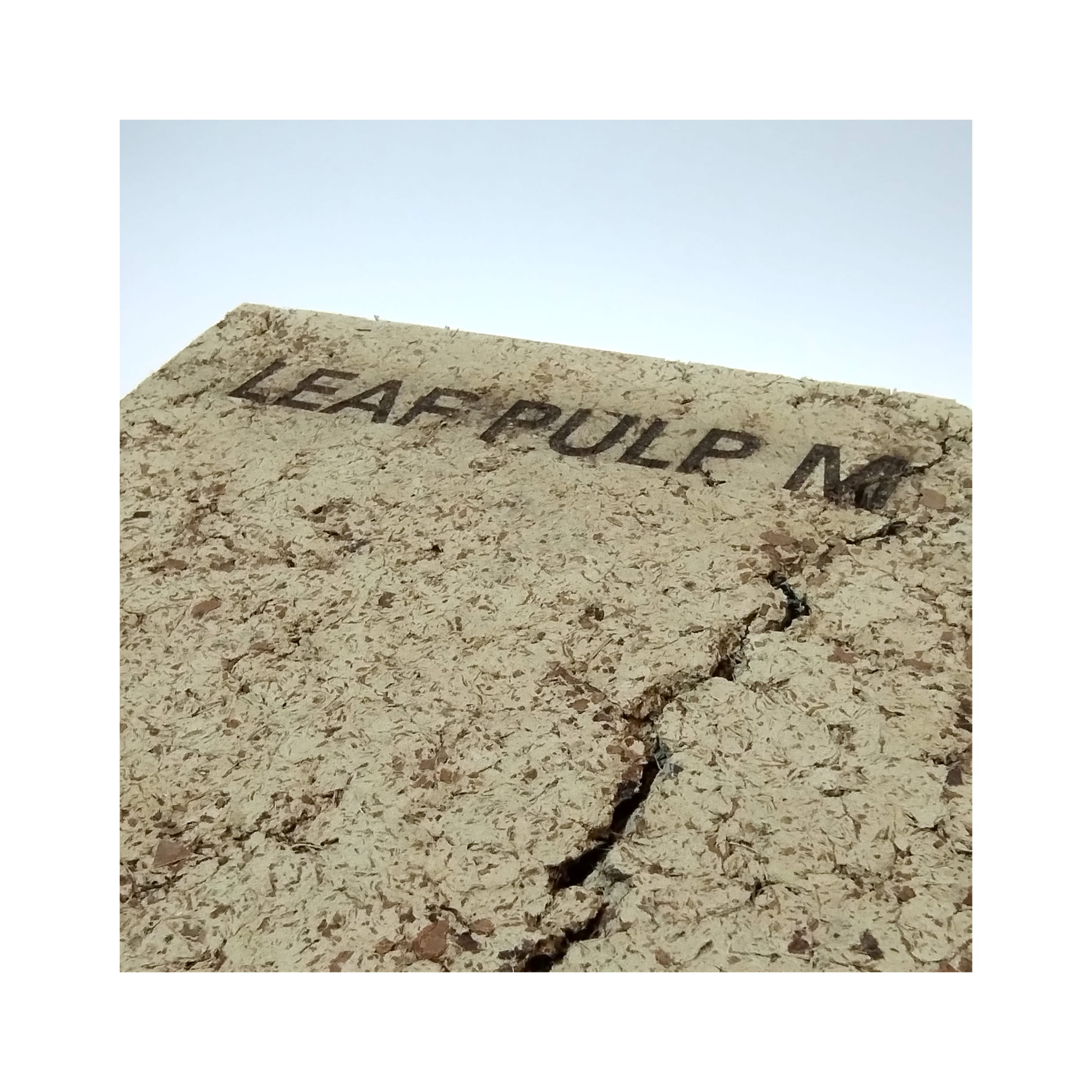 Leaf Pulp Image 5